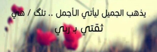 Fasil_pin's profile banner image