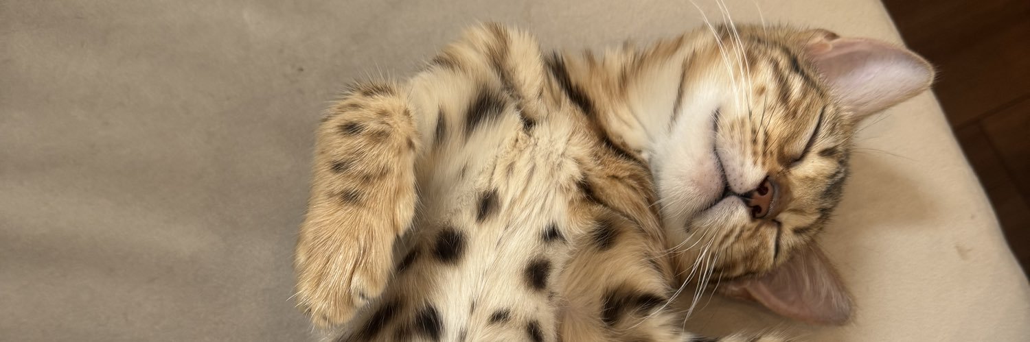 midori yoshihara banner