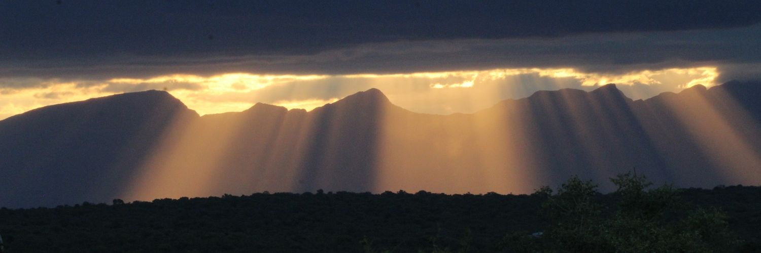 Chris Manatee🌿🐘🌱🐀🇺🇸 banner