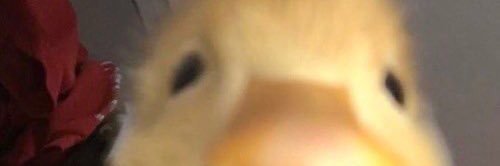 noahfeel's profile banner image