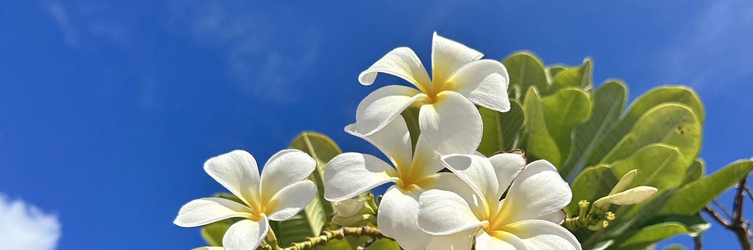 ChristopherZech's profile banner image
