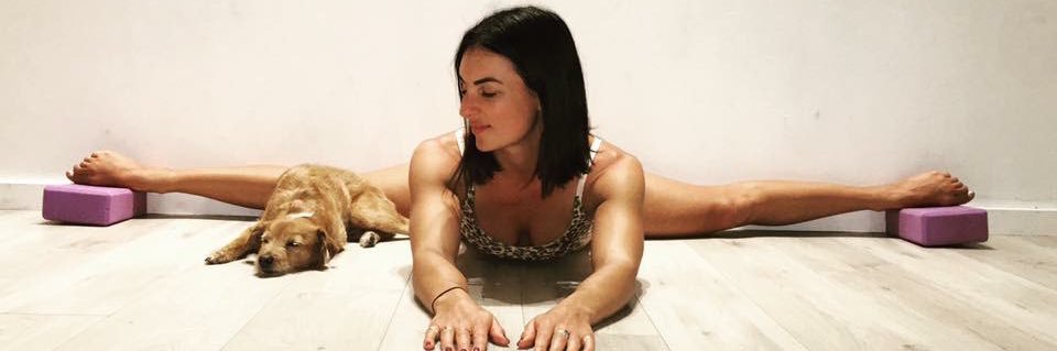 MichelleShimmy's profile banner image
