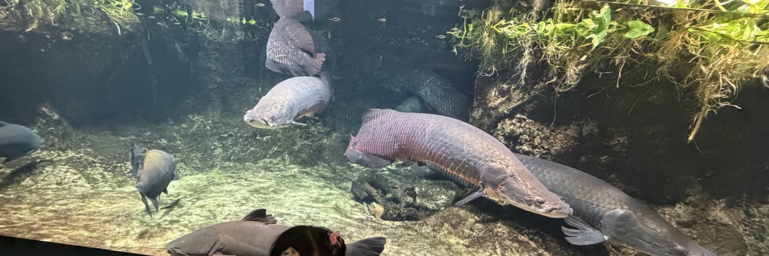 Maaa_aquarium's profile banner image