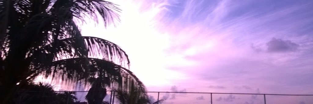 _ikaruz's profile banner image