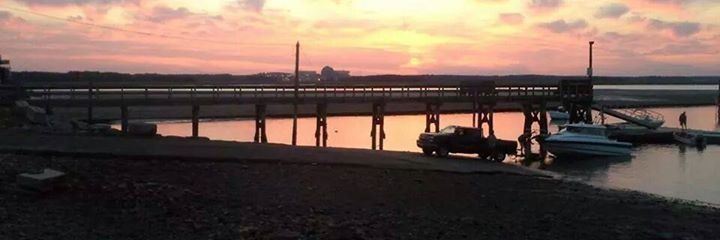 donna lanigan banner