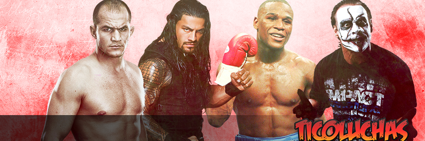 TicoLuchas's profile banner image