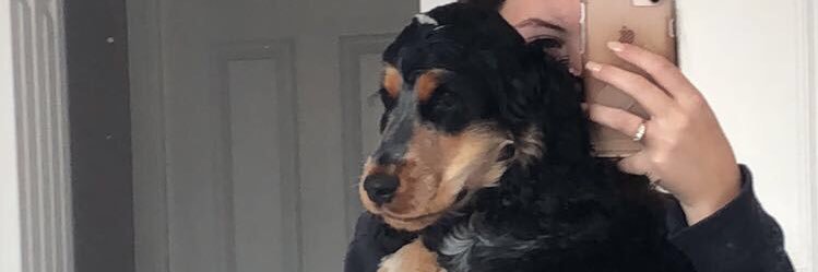 davis_georgia_'s profile banner image