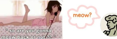 🥔 banner
