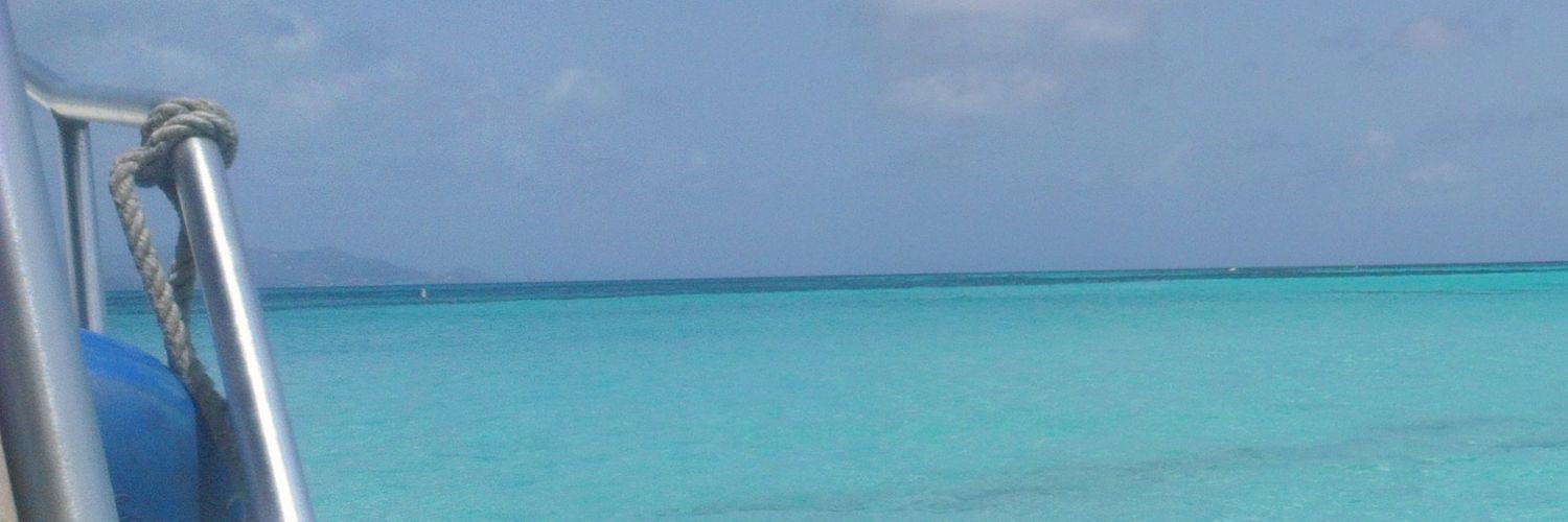 Cyntillate's profile banner image