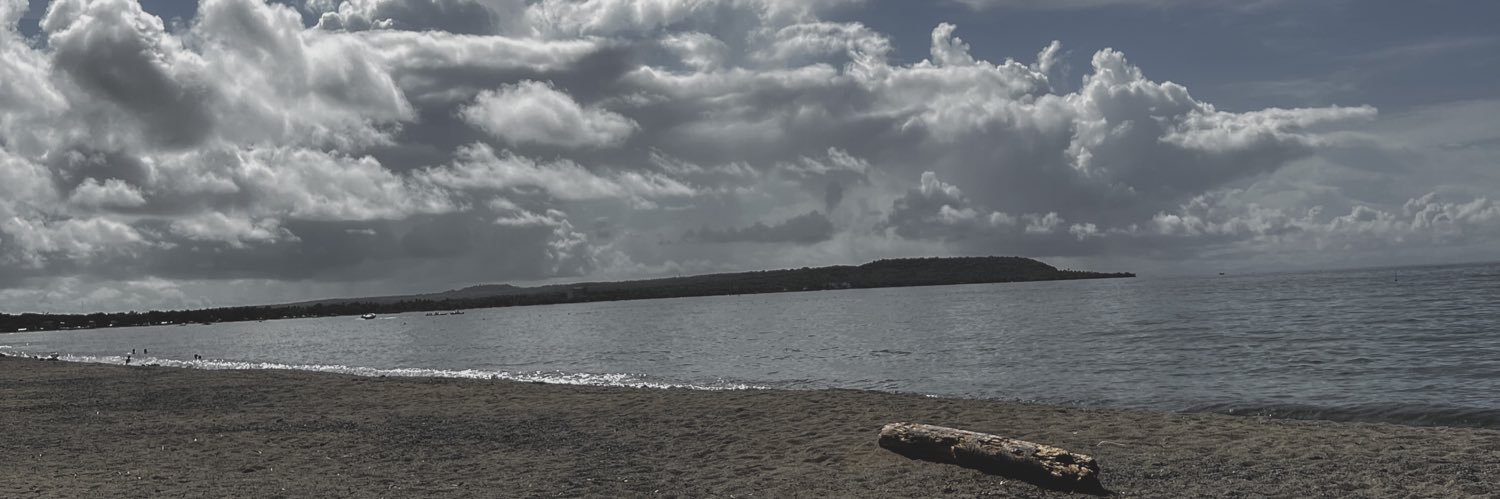 heyitsgale_'s profile banner image