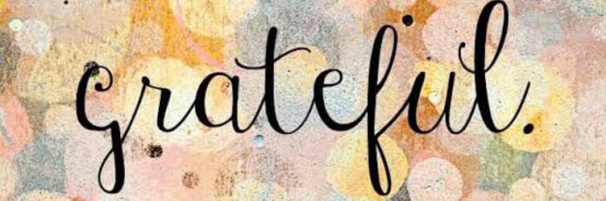 riandestya's profile banner image