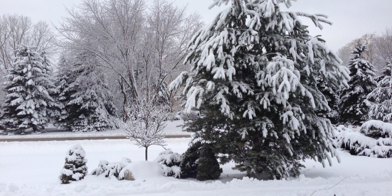 Chris Strohbehn banner