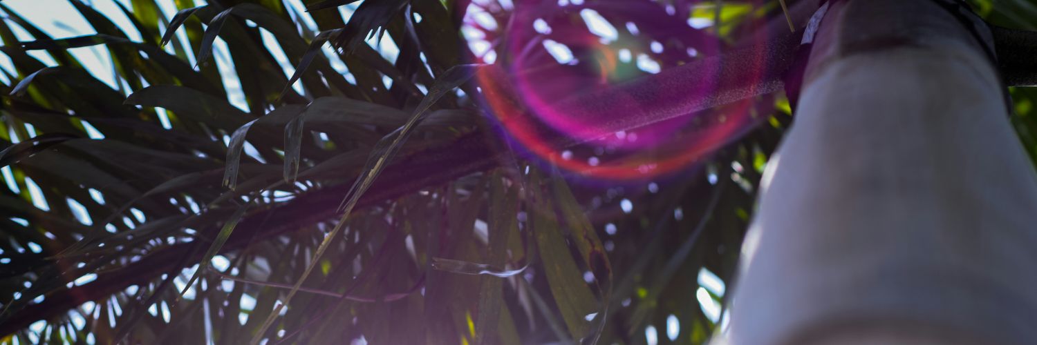SaefulJ's profile banner image