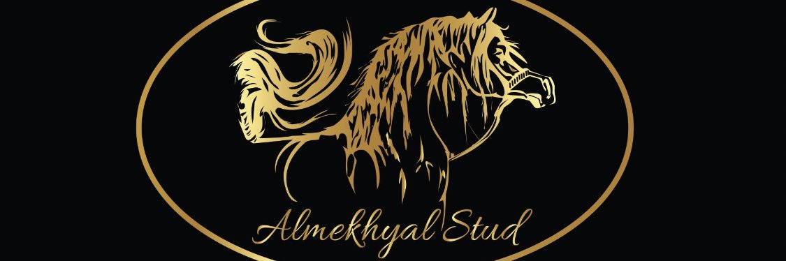 m_Almkhyal's profile banner image
