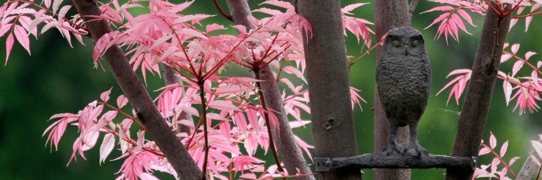 EsmukoM's profile banner image