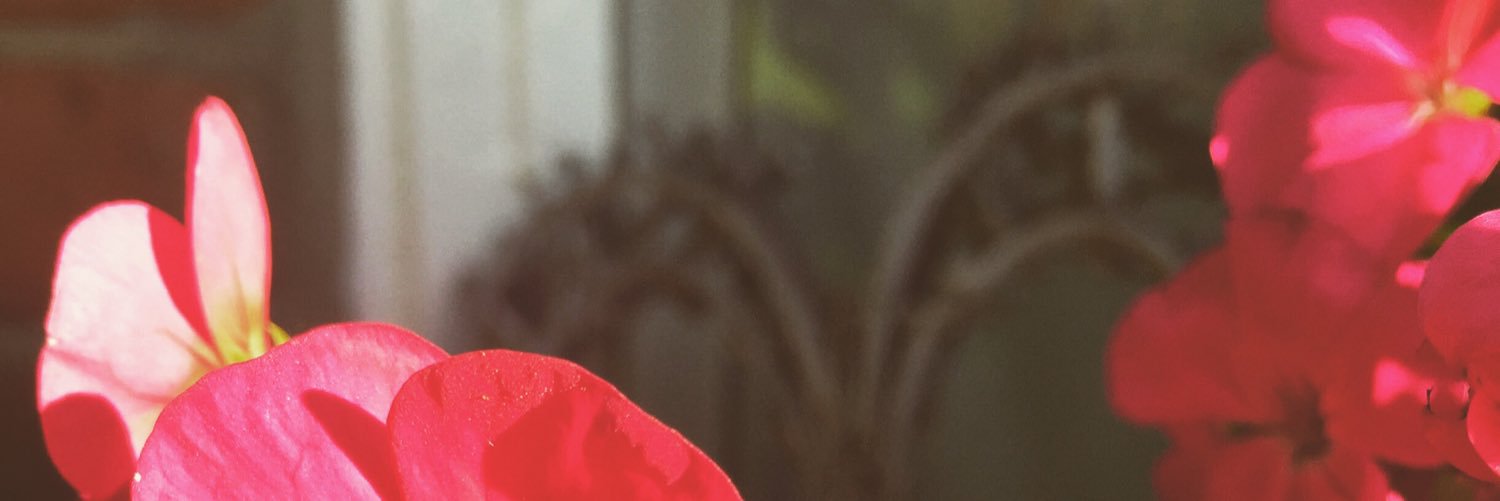 Naomi_Blogs's profile banner image