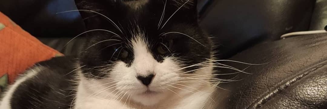 MRTOUCHATOUS's profile banner image