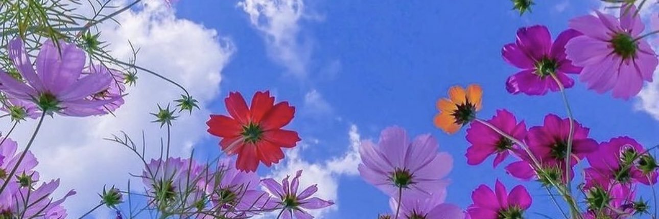 J 🦋🇬🇹 banner