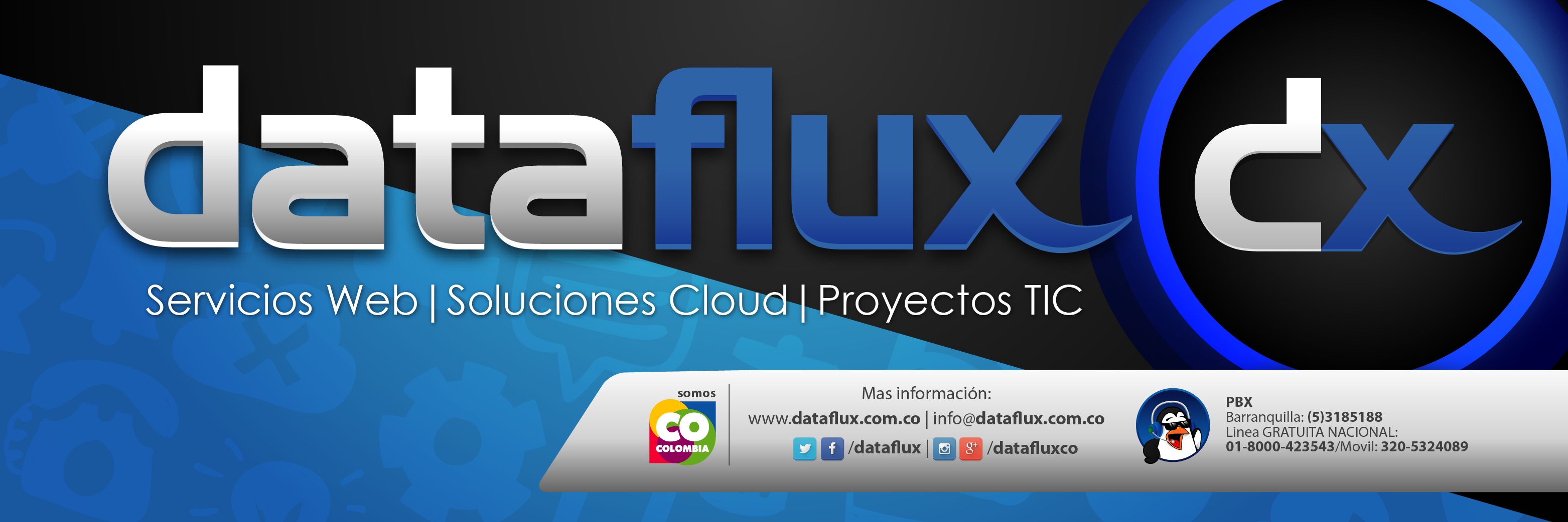 DataFlux's profile banner image