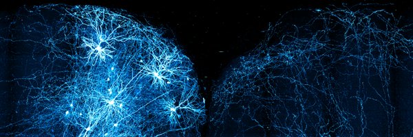 DrHaqPD Profile Banner