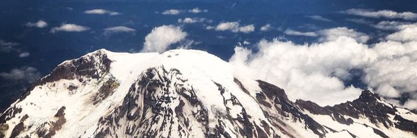 narkissit Profile Banner