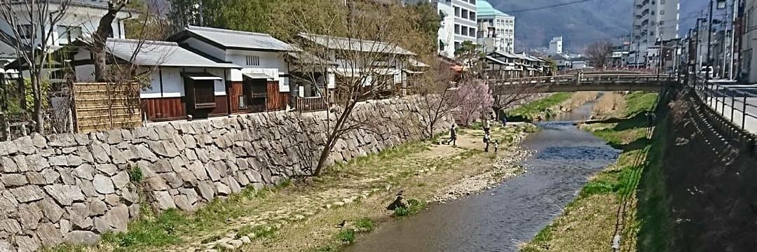 🐷松岡ゆさ🐷🍟🥔🍠ちいかわ民 banner