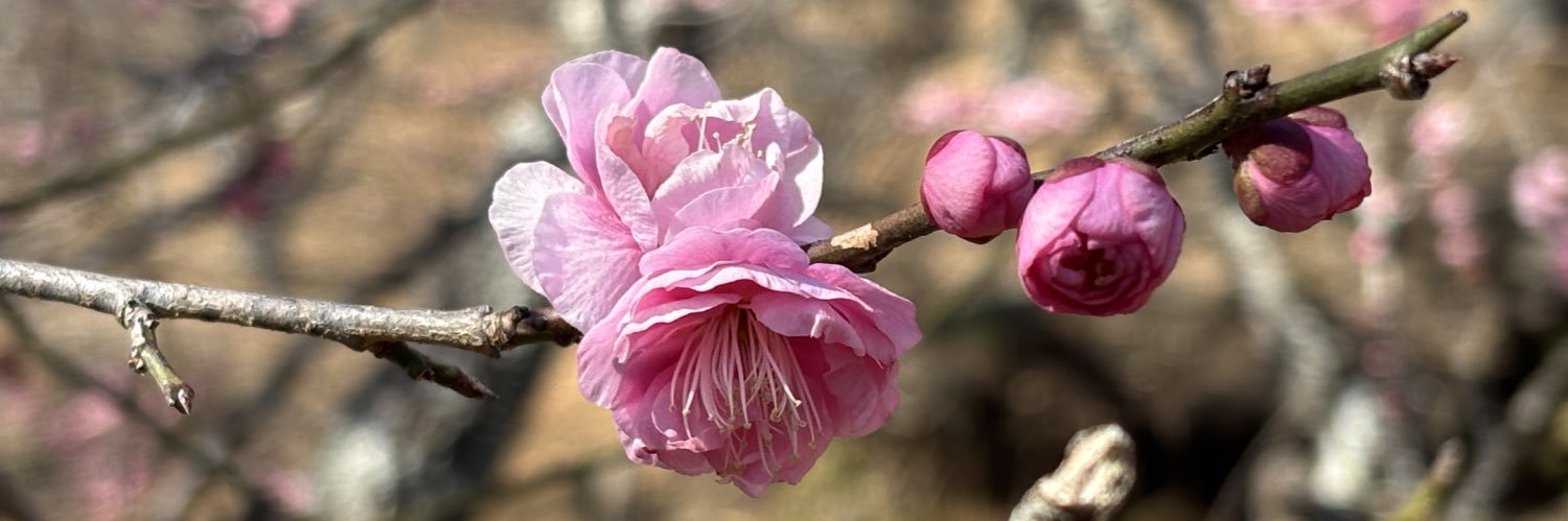 ロン(Ron475)📐🦄⚓️🖤 banner