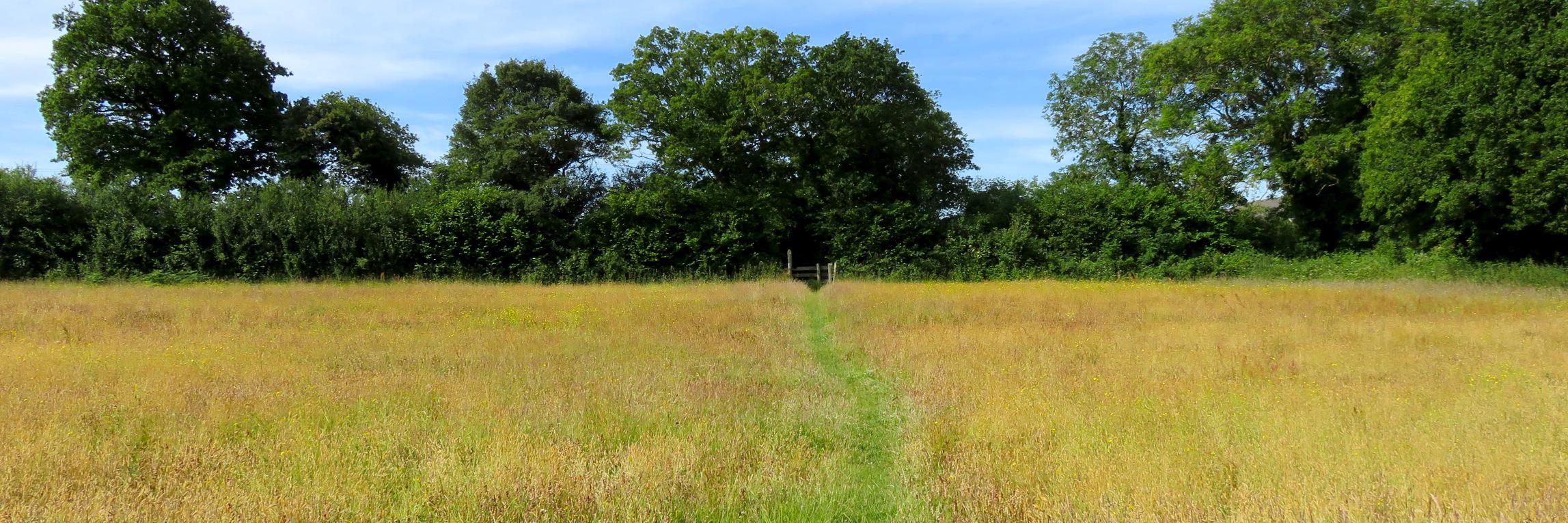 Jonathan, sometimes banner