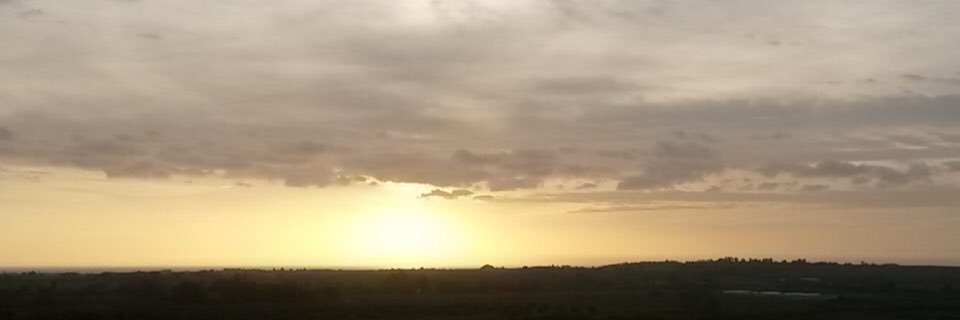 PasqualeManfre6's profile banner image