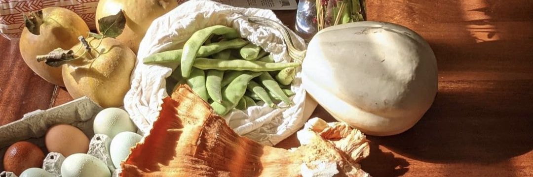 Layla Schlack banner