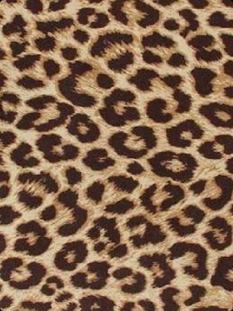 RiaRais's profile banner image