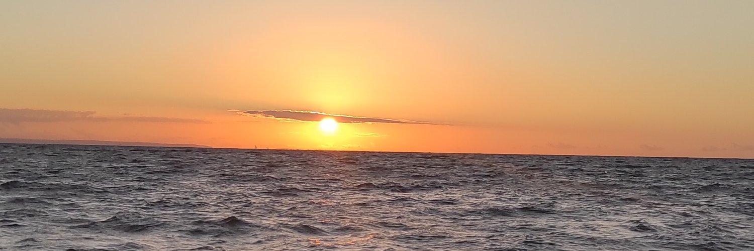gmoarriagada's profile banner image