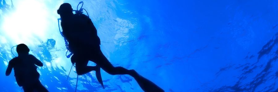 ARC_SCUBA's profile banner image