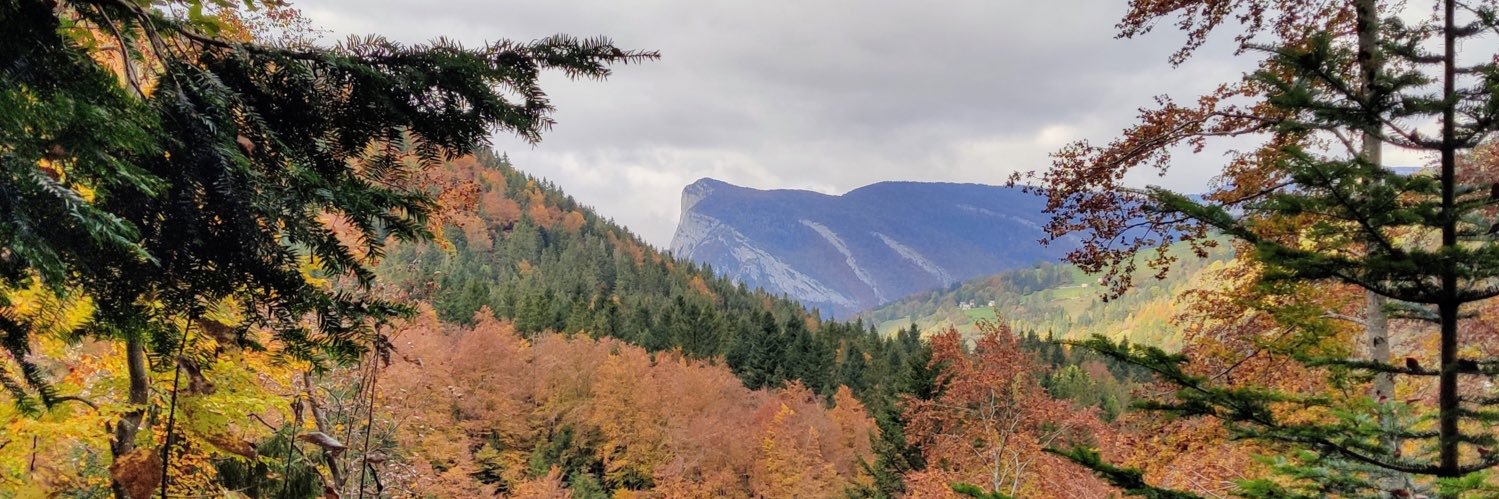 Mathilde Cristiani banner