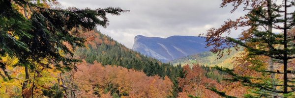 MatdeLAt Profile Banner