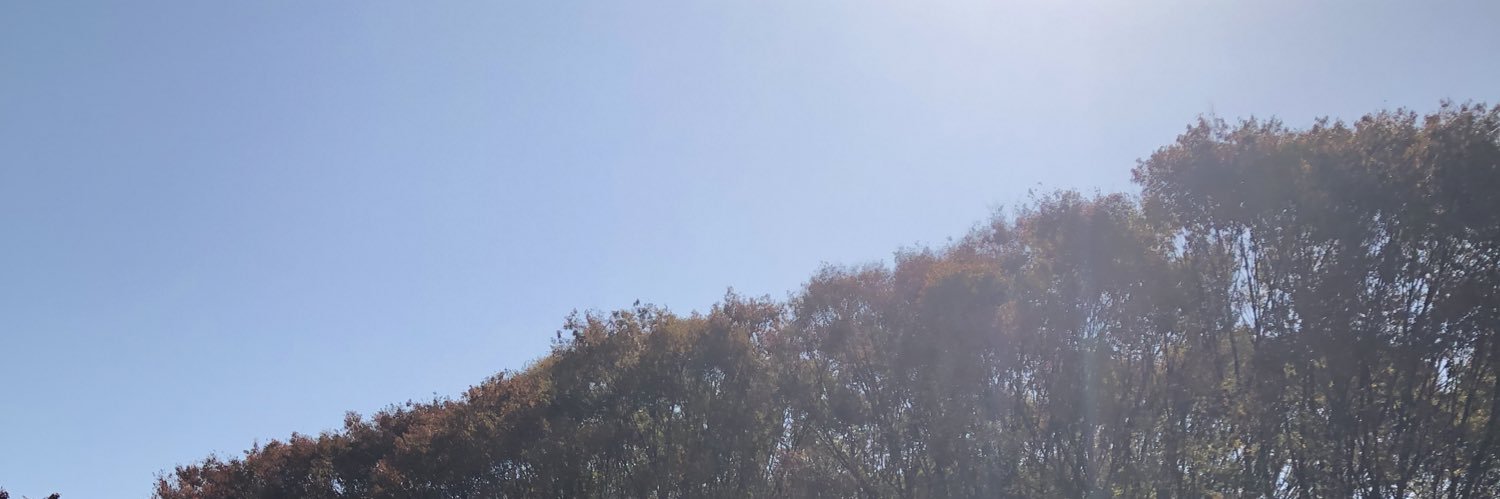 ypw007's profile banner image