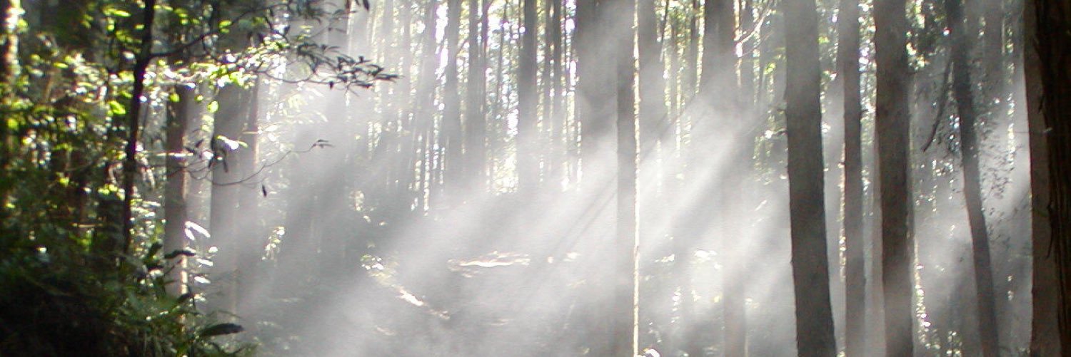 roadmanricketts's profile banner image