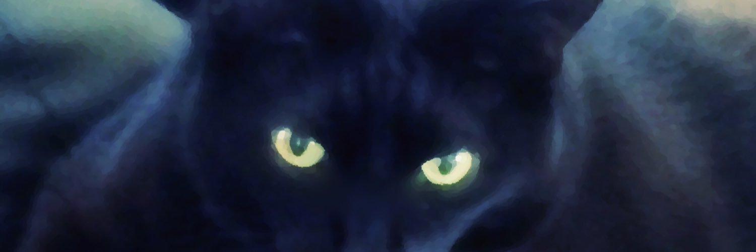 RomonaDolan's profile banner image
