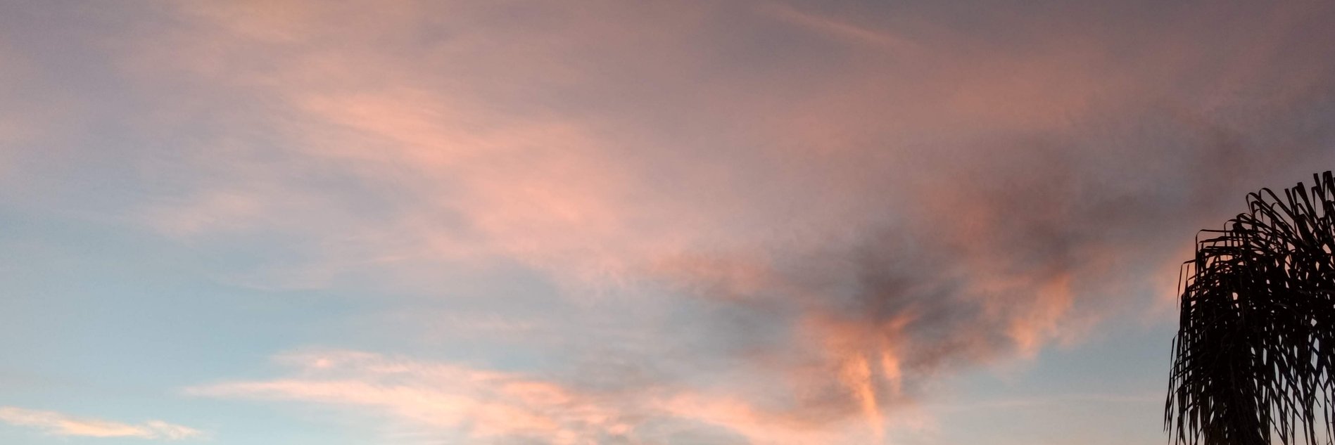 LILIVELAX's profile banner image