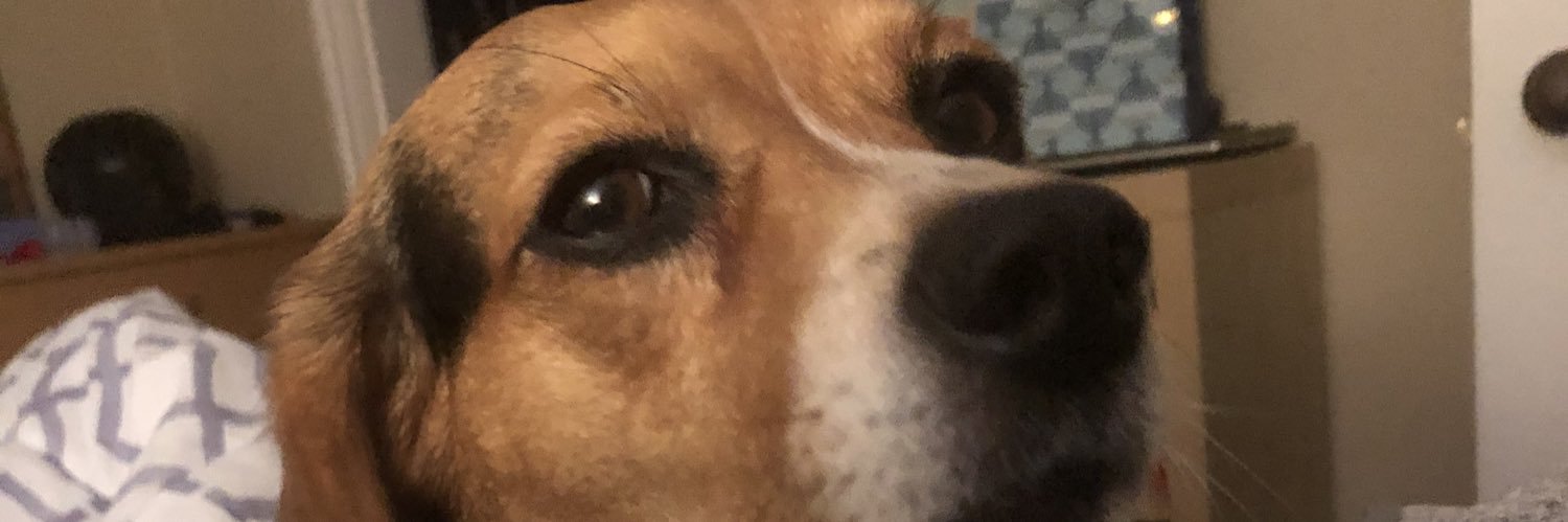 DonnaFromBoston's profile banner image