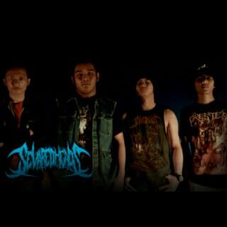 SeveredHeads_'s profile banner image