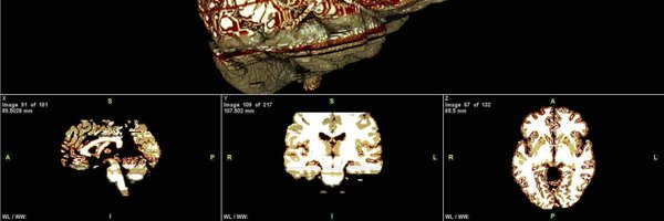 bulbgod Profile Banner