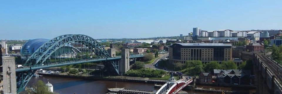 Matt Williamson banner