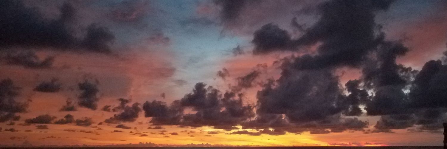 petite_savant's profile banner image