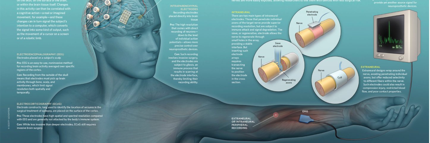 Ariane Tom, PhD | 🧠🤖🦾 banner