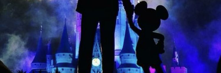 ffiioonnaabbrroowwnn banner