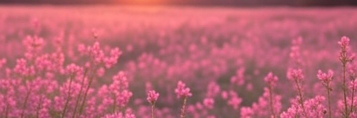 ei banner