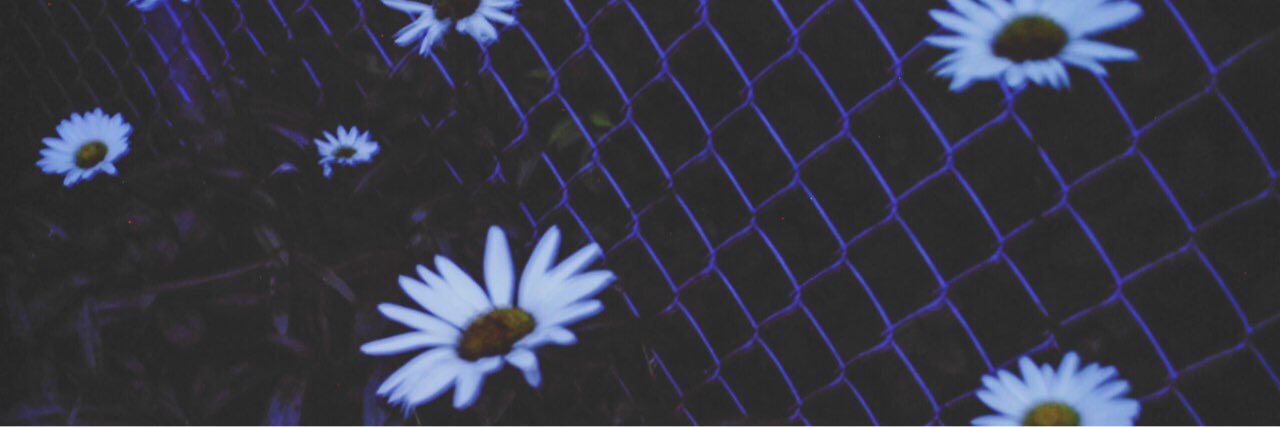 1DNina's profile banner image