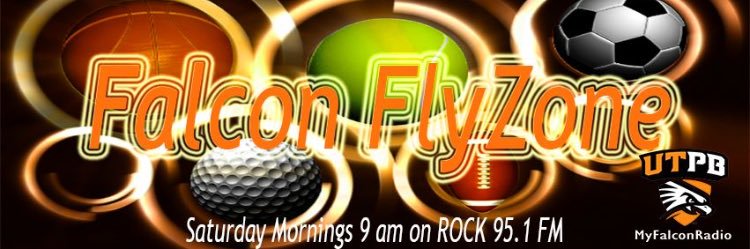 Falcon Media banner