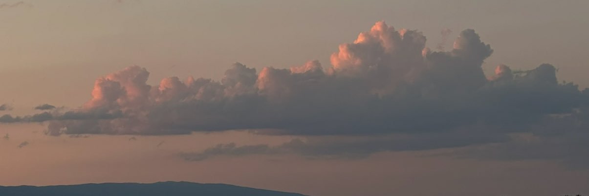 LeleAlSemari's profile banner image